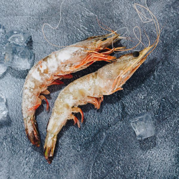 Queen Prawn (Mozambique)