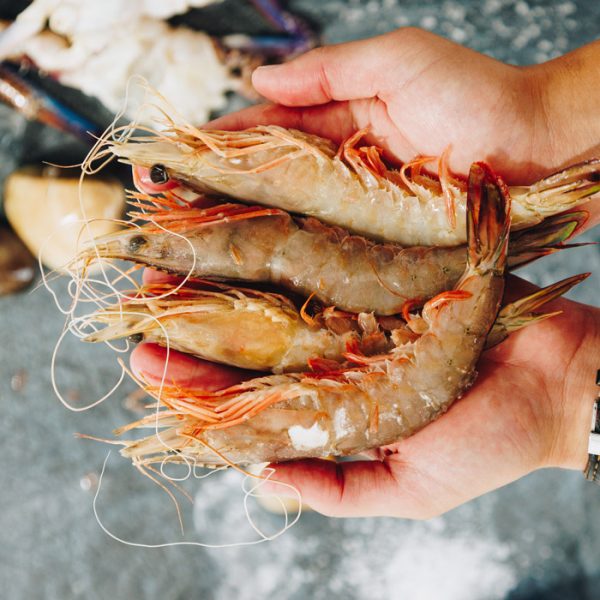 King Prawn (Mozambique)